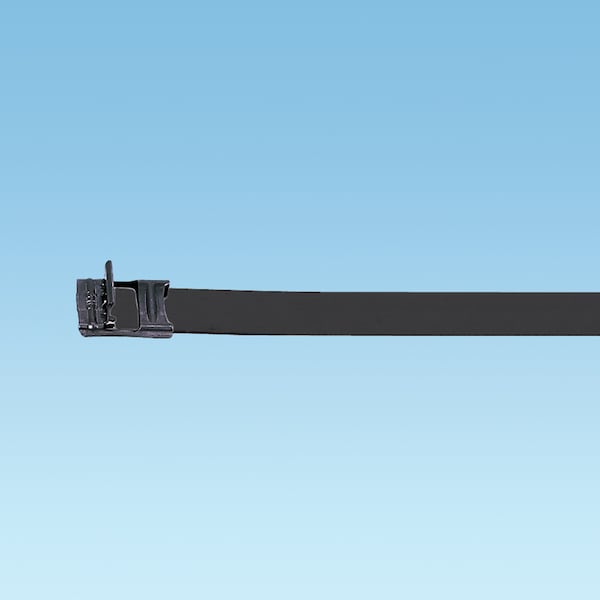 MS Strapping, 316 SS, Nylon FC, .38" (9.5mm), MSC4W38T15-L6, PK 50